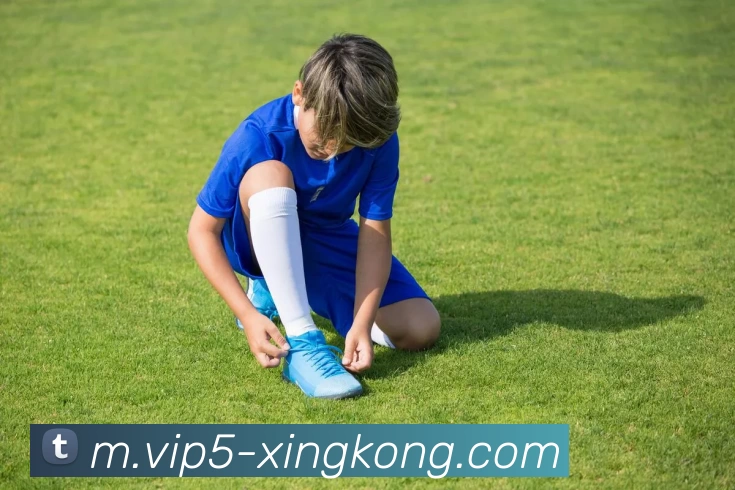 星空体育发展历程